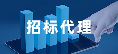 招標代理業(yè)務管理系統(tǒng)